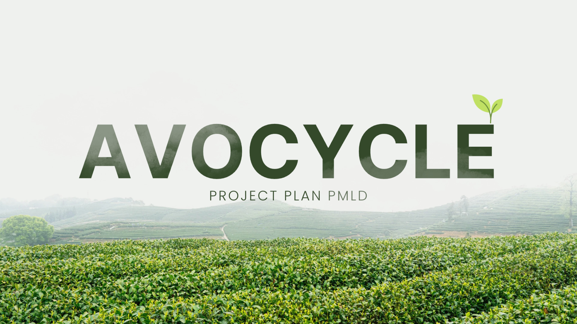 Avocycle